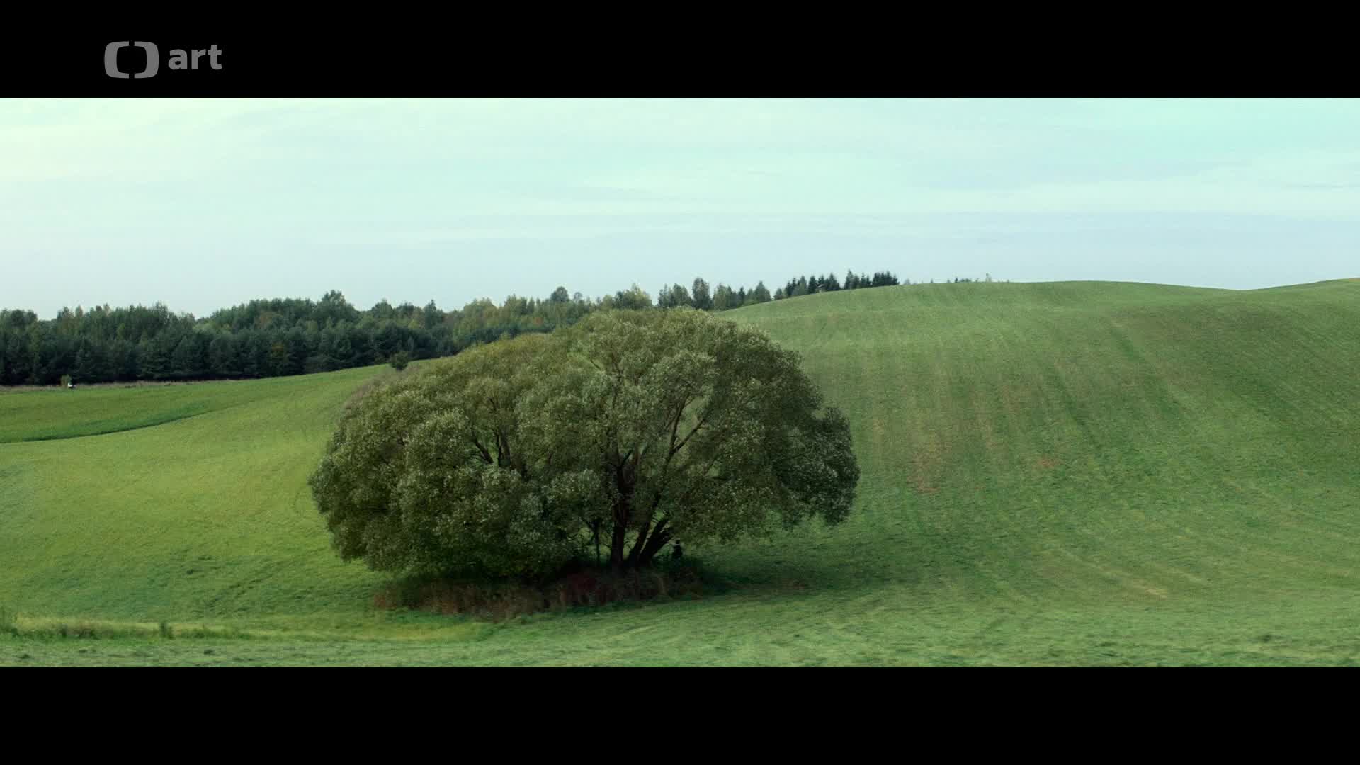 Strachy v nás 2021 CZ titulky HD